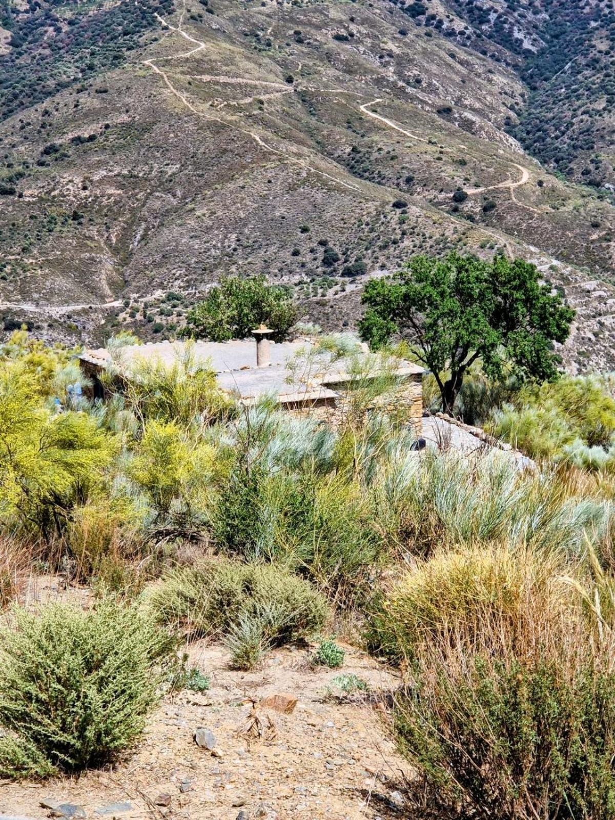 Вилла Cortijo La Vista Орхива Экстерьер фото
